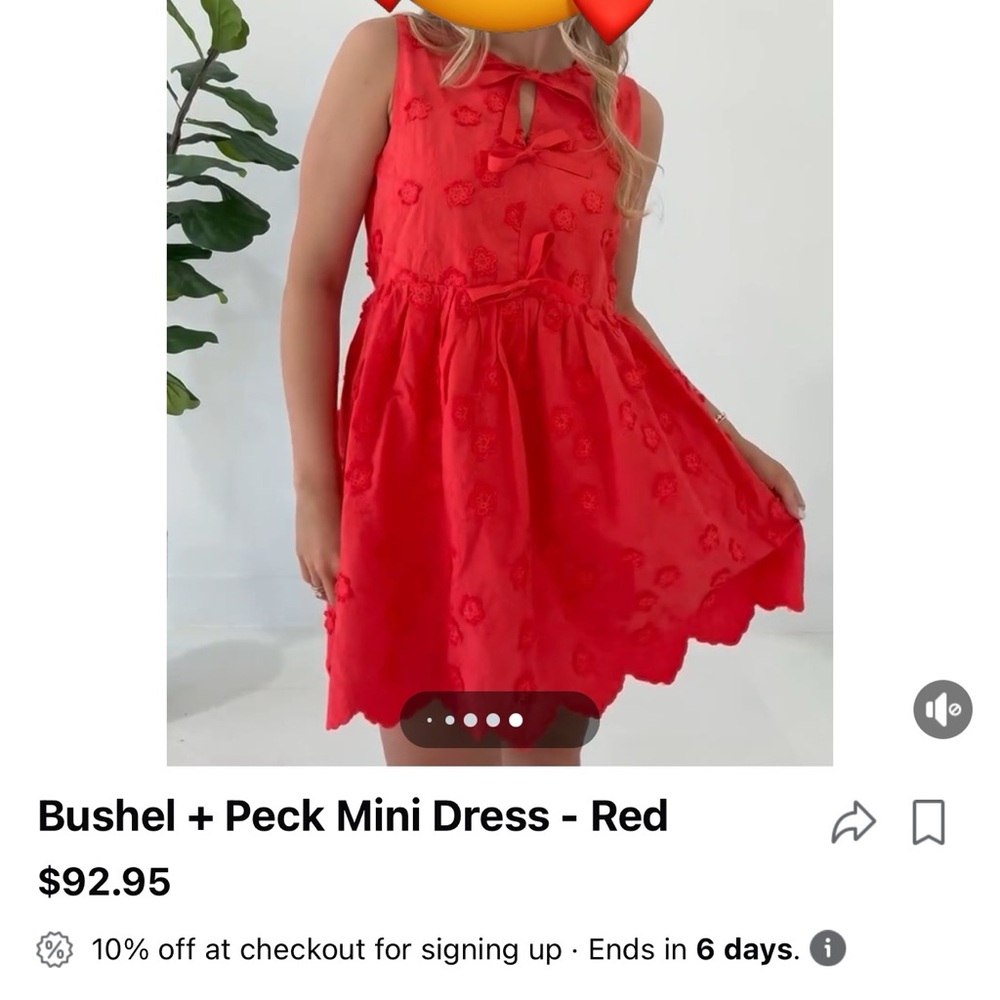 New with Tags Boutique Red Eyelet Floral Mini Dress Size Small Spring Fling